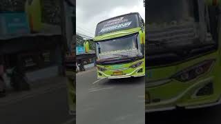 Serunya Ngejar Basuri Asyrof JETBUS 3+ ADIPATI dan KRISNA ‼️CIKRETEG BOGOR. #busmania  #shorts.