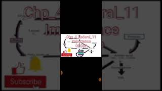 How could G3P be the metabolic link between Carbohydrates, Lipids, Proteins?