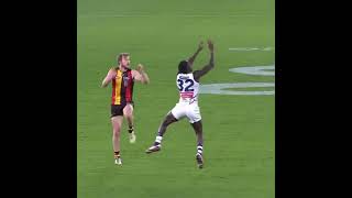 Jimmy Webster with a big contest vs Frederick - AFL Saints vs Freo 2024