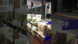 my dream petshop🙏 #aquafishzone #trendingshorts #fish #trendingvideo #viralshorts #pets