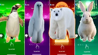 🐧 The Pinguin vs Erosion Bird vs Polar Bear vs The Rabbit | Coffin Dance 🪩