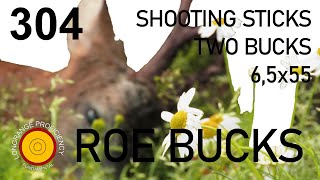 Longrange blog 304: Hunting roe buck success