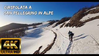 Ciaspolata a San Pellegrino in Alpe. 4k