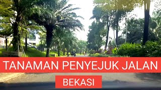 TANAMAN PENYEJUK JALAN | TANAMAN HIAS DI JALAN BEKASI