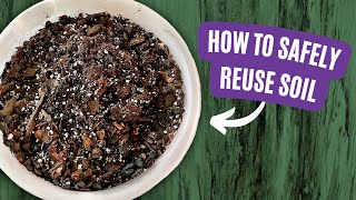 Save Money and Grow Better: 5 Techniques to Sterilize Houseplant Soil for Reuse