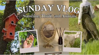 A Slow Sunday Vlog | Thrifting, Animal Friends, Cozy Home Decor | Slow-Living in the Countryside