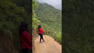 Tiger’s Nest Trekking - Dense Forest - Happiest me while I trek 😬 #bhutan #forest #shorts #travel