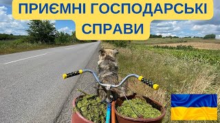 ПРИЄМНІ СПРАВИ НА ГОСПОДАРСТВІ@kyruvgaragi