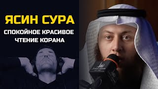 Ясин красивое чтение корана шейх Хамза Иордани