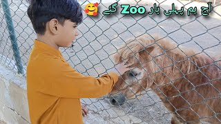 Aaj Hum Pehli Baar Zoo gaye | Zoo Tour | آج ہم پہلی بار Zoo گئے