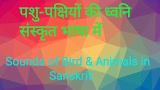 पशु-पक्षियों की ध्वनि संस्कृत भाषा में। Sounds of animals and birds in Sanskrit language.