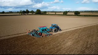 Sowing winter crops 2024