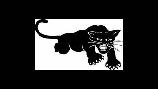 The Black Panther Party