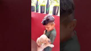 Cute puppy funny video viral shorts #shorts