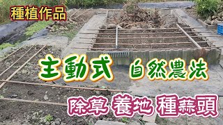 [種植作品]10_1 雖然有些作物天氣熱還徒長 但長天期的作物 是可以進場了