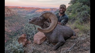 Chad Mendes' 2019 Utah Desert Sheep Hunt!! "I Won the Hunting Lottery!"