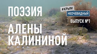 #КрымНеОчевидный: Тебе Крым (Глава 162). Поэзия Алены Калининой - Вдыхай меня... Стихи о Крыме.