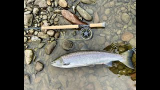 Scottish Borders - Tweedswood - Salmon Fishing  - June 2024