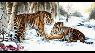 Вышивка крестом: Мой процесс "Бенгальские тигры" (Bengal Tigers) от "Dome"