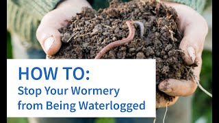 How to Stop Your Wormery Becoming Waterlogged or Flooded