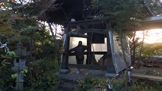 Unrinji Cat Temple 雲林寺（ネコ寺）- the soothing sound of a bell in a Buddhist Temple, Japan