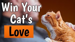 How to Tell Your Cat That You Love Them (In a Way They Understand)