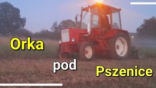 🇵🇱Wieczorna i nocna, Orka Pod Pszenicę W Mgle💨(Władimirec T25 & Pług Unia)🔥