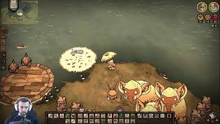 ЛАМПОВЫЙ стрим - ФЕРМЫ, БАЗА, МОДЫ в Don't Starve Together