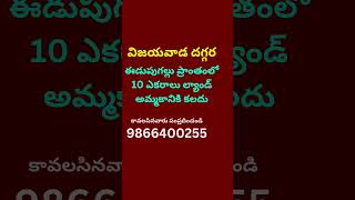 Land for Sale in Edupugallu | Vijayawada | Amaravathi | 9866400255 | #shorts #viral #krishnadistrict