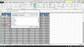 Microsoft Excel Course - Removing Duplicates | Part 73