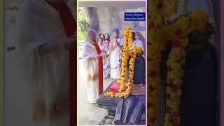 Special puja by @Gurudev ji😇@BangaloreAshram #srisrireels #blessings #divine