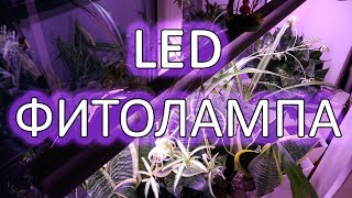 ПАРЯЩАЯ LED фитолампа