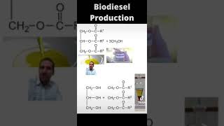 VCE Chemistry - Biodiesel vs Petrodiesel (Reactions)