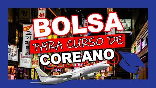 GRATUITO!! Curso de Coreano na Coréia de Sul | Chat de Estudante