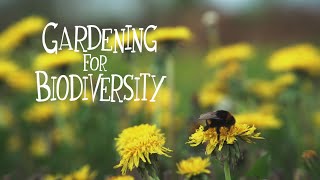 How to create a wildflower meadow. Gardening for Biodiversity series.