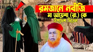 রমজানে নবীজি মা আয়েশা (রা.) কে যে উপদেশ ‍দিতেন। আল্লামা আবুল কাশেম ‍নুরী । Allama Abul Kashem nuri |