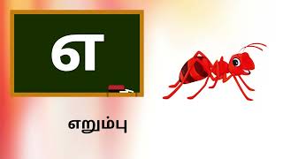 அஆஇஈ உயிர் எழுத்துக்கள்|A Aa E Ee|Uyir EzhuthukalTamil Alphabets