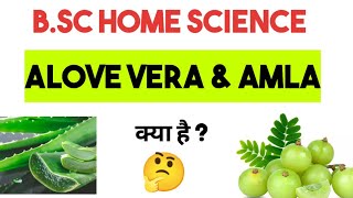 B.sc Home Science // Applied Botany Medicinal Plants - Alove Vera & Amla in hindi #uptgtpgt #botany