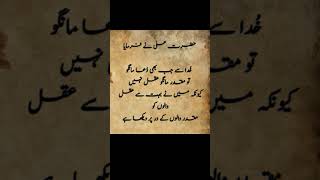 Hazrat Ali quotes #viralvideos #poetry #quotes #urdupoetry #love #sadpoetry #explore #viralvideo #1k