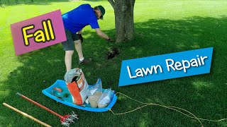 Making a lawn repair in fall with results