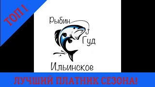 Ловля прудовой форели. Обзор платного водоема Рыбин Гуд Ильинское