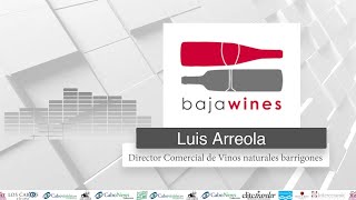 Entrevista en video con Luis Arreola Director Comercial de Vinos naturales barrigones