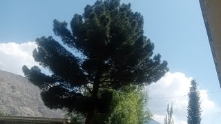 Highlight 9:09 - 14:09 from beautiful views Gilgit City view #viral #live #highlights