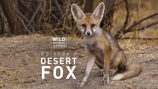 Wild You Were Sleeping (Episode 4): Desert Fox