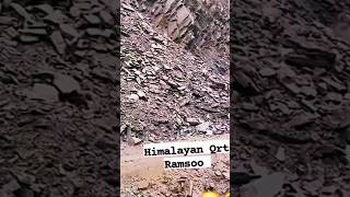 #accident  #jammuandkashmir  #roadaccident  #landslide