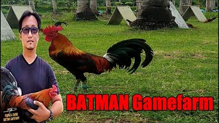 Lets Visit The Farm Of Batman Gamefarm