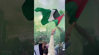 نصر المقاومة في فلسطين