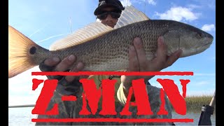 REDFISH ACTION! On 4 & 5 inch ZMan Paddletails