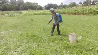 ahr Kisan fasal ugane se pahle Jungle ko Khatam karta hai Jaysa ke aapko video mein dikha raha hu