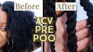 BEST DETANGLING METHOD using ACV/water | QUICK AND EASY Pre-poo | For NATURAL HAIR  4A. 4B, 4C